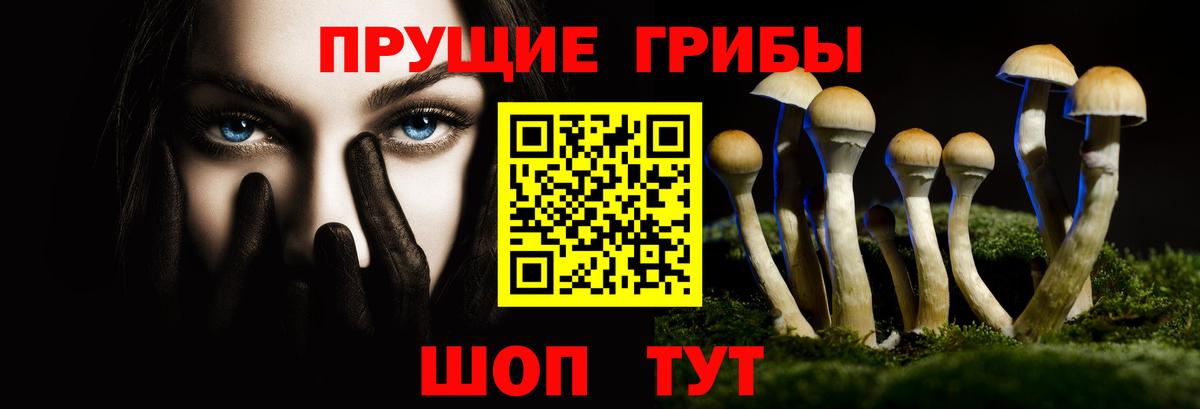 Псилоцибиновые грибы Psilocybe  Галлюциногенные грибы MAGIC MUSHROOMS  Симферополь  Вход с VPN 